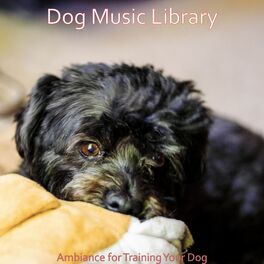 Album cover of Ambiance for Training Your Dog