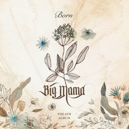 Album cover of Born (本)