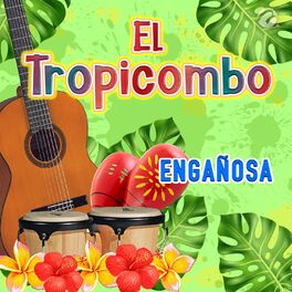 Album cover of Engañosa