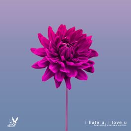 Album cover of I Hate U, I Love U (feat. Chelsea Collins)