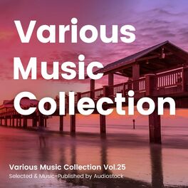 Album cover of Various Music Collection Vol.25 -Selected & Music-Published by Audiostock-
