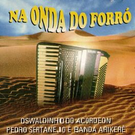 Album cover of Na Onda do Forró