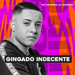 Album cover of Gingado Indecente