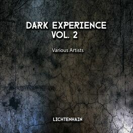 Album cover of Dark Expereince, Vol. 2