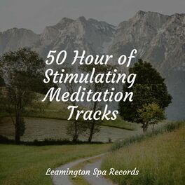 Album cover of 50 Hour of Stimulating Meditation Tracks