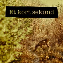 Album cover of Et Kort Sekund