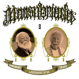 Album cover of Maasnbriada Teil 3 Legendenstatus