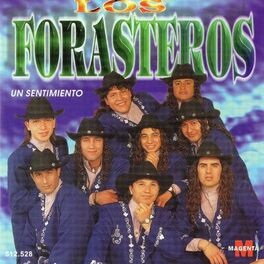 Album cover of Un Sentimiento