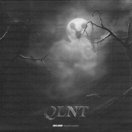 Album cover of QLNT