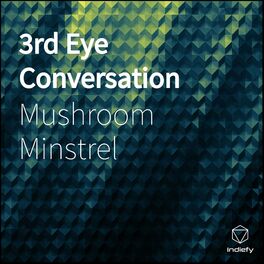 Album cover of 3rd Eye Conversation