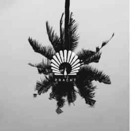 Album cover of Pation