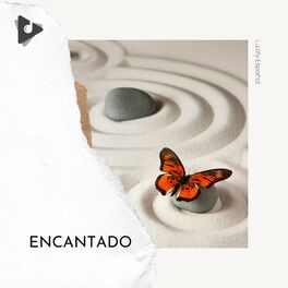 Album cover of Encantado
