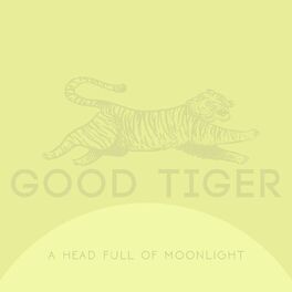Album cover of A Head Full of Moonlight