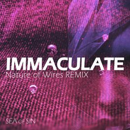 Album cover of Immaculate (feat. Nature of Wires) [Nature of Wires Remix]