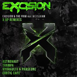 excision album cover