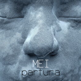 Album cover of Partura