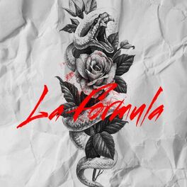 Album cover of La Fórmula