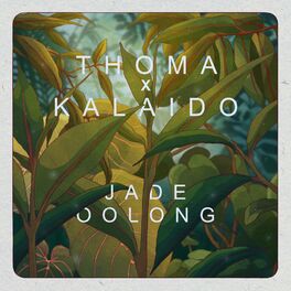 Album cover of Jade Oolong