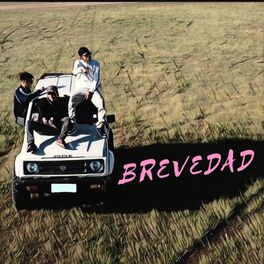 Album cover of Brevedad