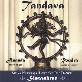 Album cover of Tandava