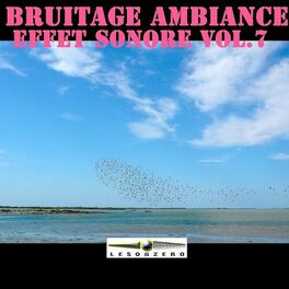 Album cover of Bruitage ambiance effet sonore, vol. 7