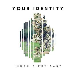 Album cover of Your Identity