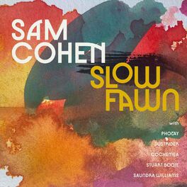 Album cover of Slow Fawn