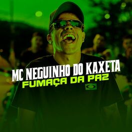 Album cover of Fumaça da Paz