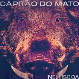 Album cover of Capitão do Mato