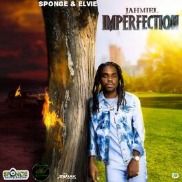 Album cover of Imperfection