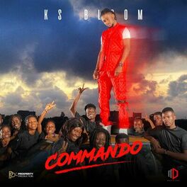 Album cover of Commando