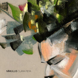 Album cover of Mímulus