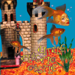Album cover of Little Plastic Castle