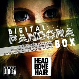 Album cover of Digital Pandora Box