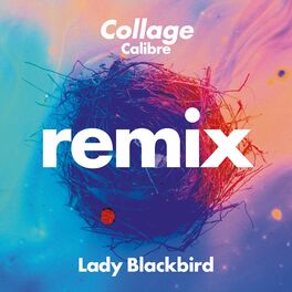 Album cover of Collage (Calibre Remix)