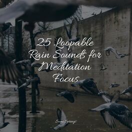 Album cover of 25 Loopable Rain Sounds for Meditation Focus