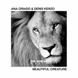 Album cover of Beautiful Creature