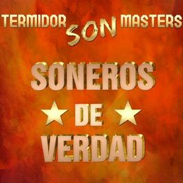 Album cover of Termidor Son Masters