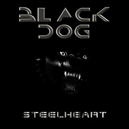 Album cover of BLACK DOG