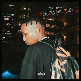 Album cover of Beautiful Lies