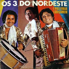 Album cover of É Pra Virar Lobisomem