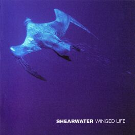 Album cover of Winged Life