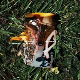 Album cover of Perfect Life