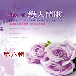 Album cover of 鍾愛一生 戀人情歌 第六輯 (Love Song For Love Forever)