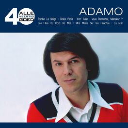 Album cover of Alle 40 Goed