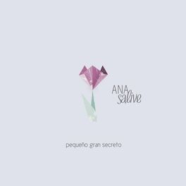 Album cover of Pequeño Gran Secreto
