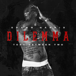 Album cover of Dilemma: Torn Between Two