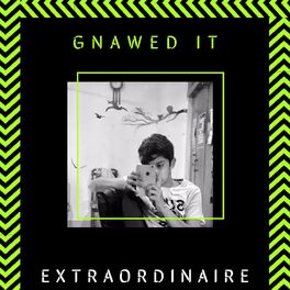 Album cover of Gnawed It!