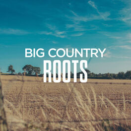 Album cover of Big Country Roots