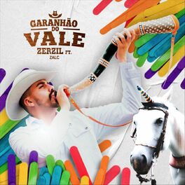 Album cover of Garanhão do Vale